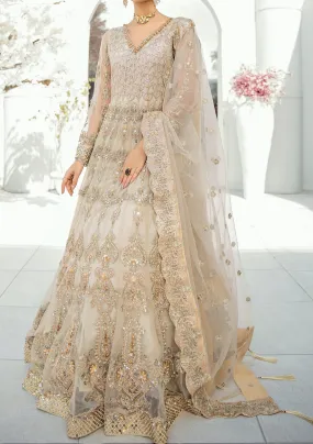 Akbar Aslam Astilbe Pakistani Net Anarkali