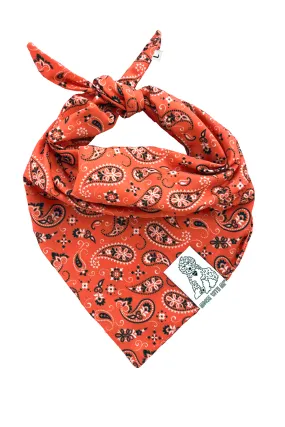 Dog Bandana Paisley - Customize with Interchangeable Velcro Patches