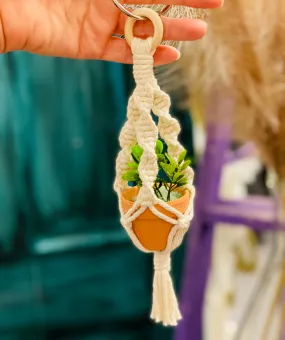 Mini plant hanger